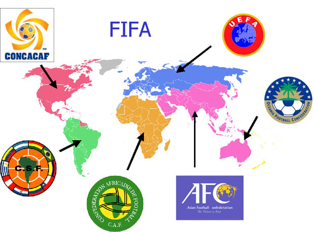 World Cup 2014 Qualified teams