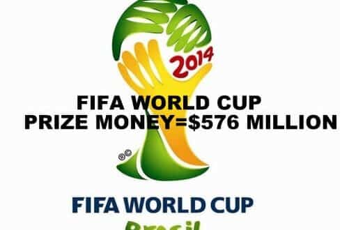total prize money of 2014 world cup