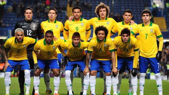 Brazil World Cup Team Photo of 2014