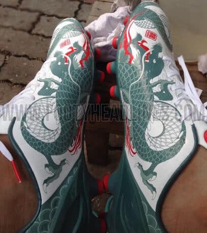 Puma evospeed 1.3 dragon boots leaked