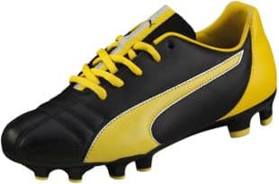 Marco Reus Puma evoSpeed boots