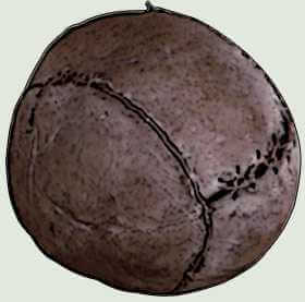 Picture 2.1.1. Generational Balls Oldest One